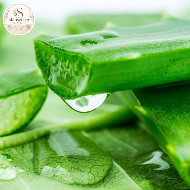 How to Choose the Best Aloe Vera Gel for Scalp